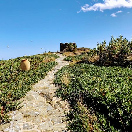 Isla Privada En Cadaques De Ensueno Con 11 Habitaciones Dobles Con Bano Privado Y Piscina Exteriér fotografie