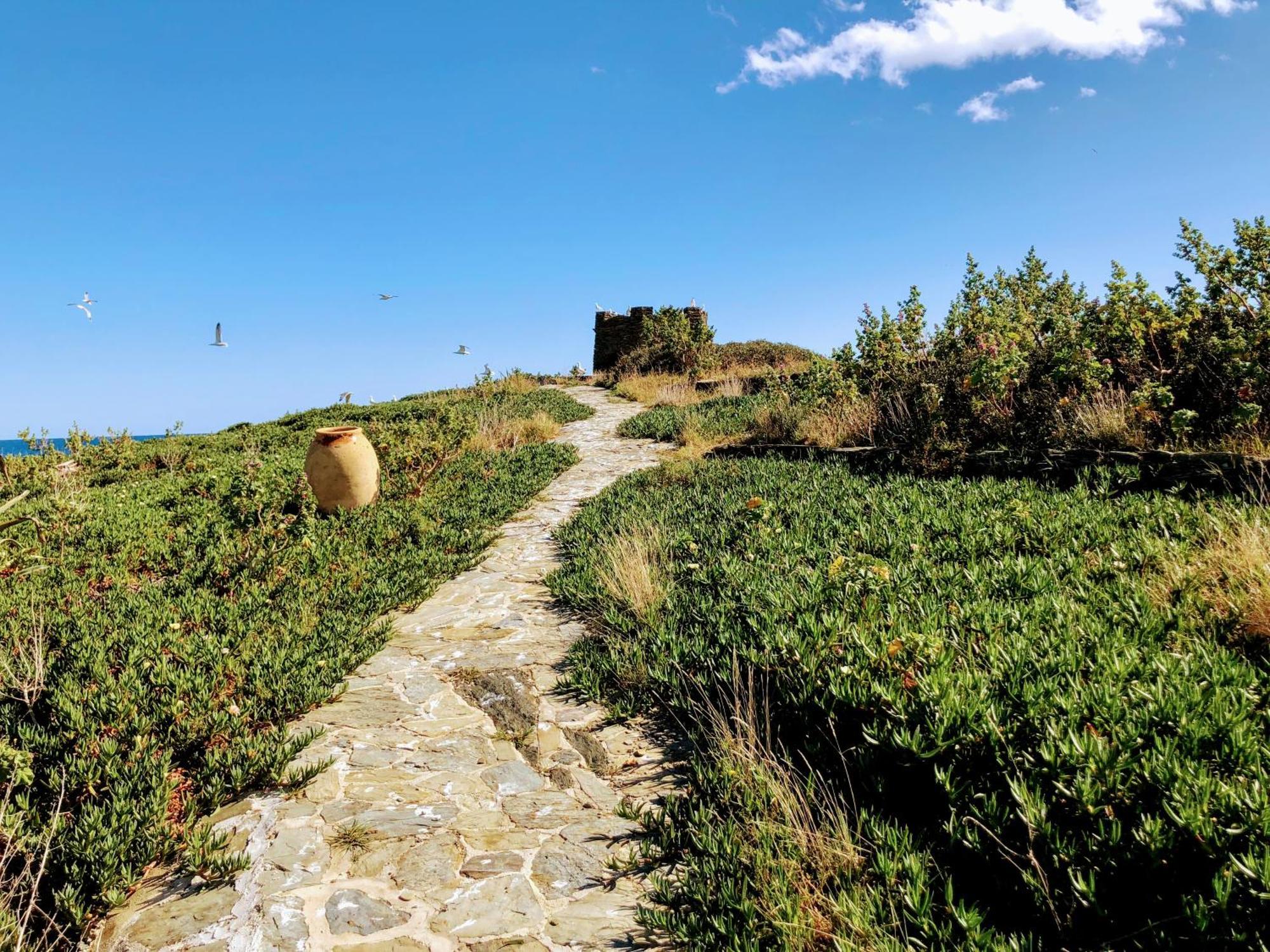 Isla Privada En Cadaques De Ensueno Con 11 Habitaciones Dobles Con Bano Privado Y Piscina Exteriér fotografie
