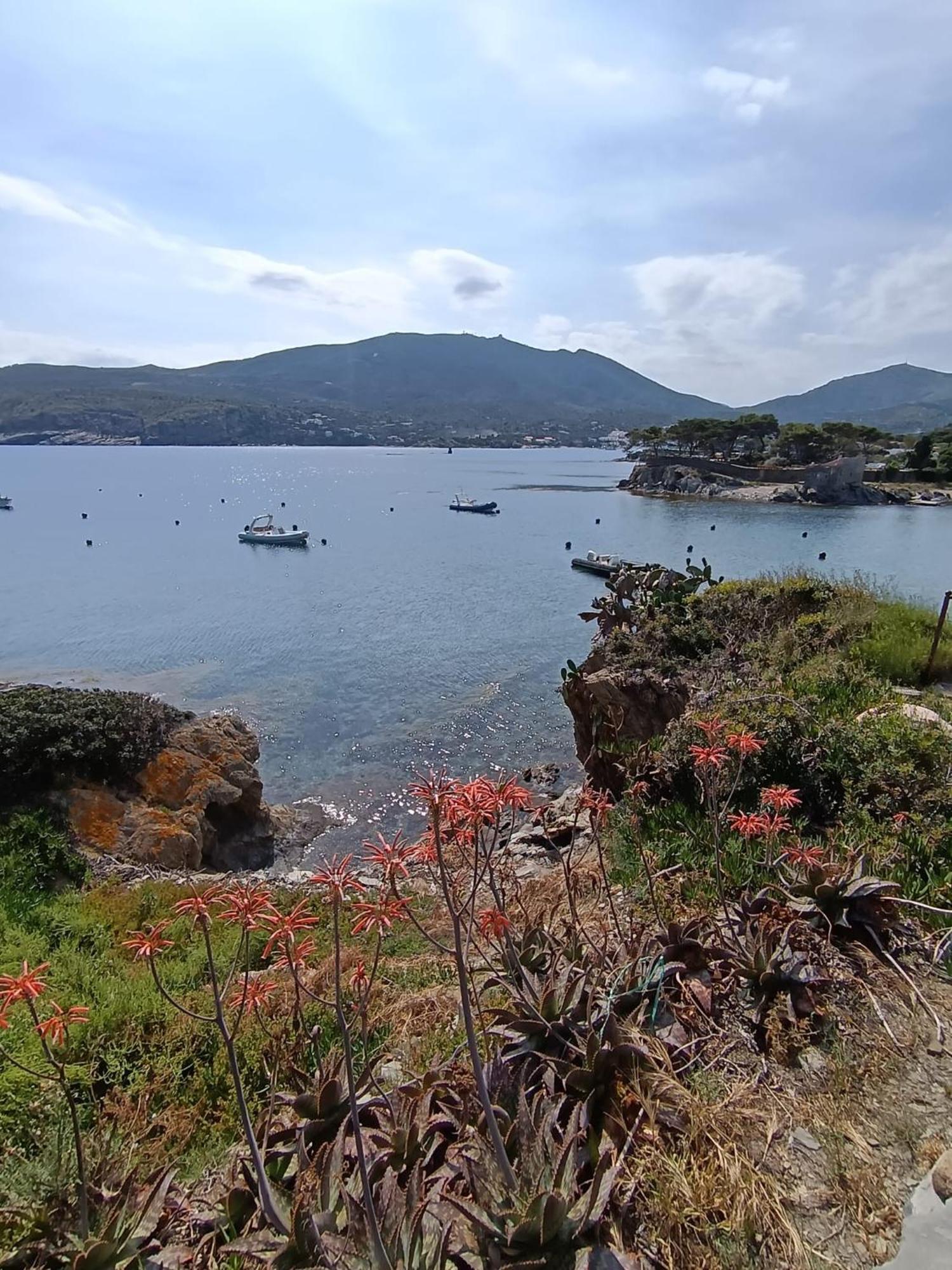 Isla Privada En Cadaques De Ensueno Con 11 Habitaciones Dobles Con Bano Privado Y Piscina Exteriér fotografie
