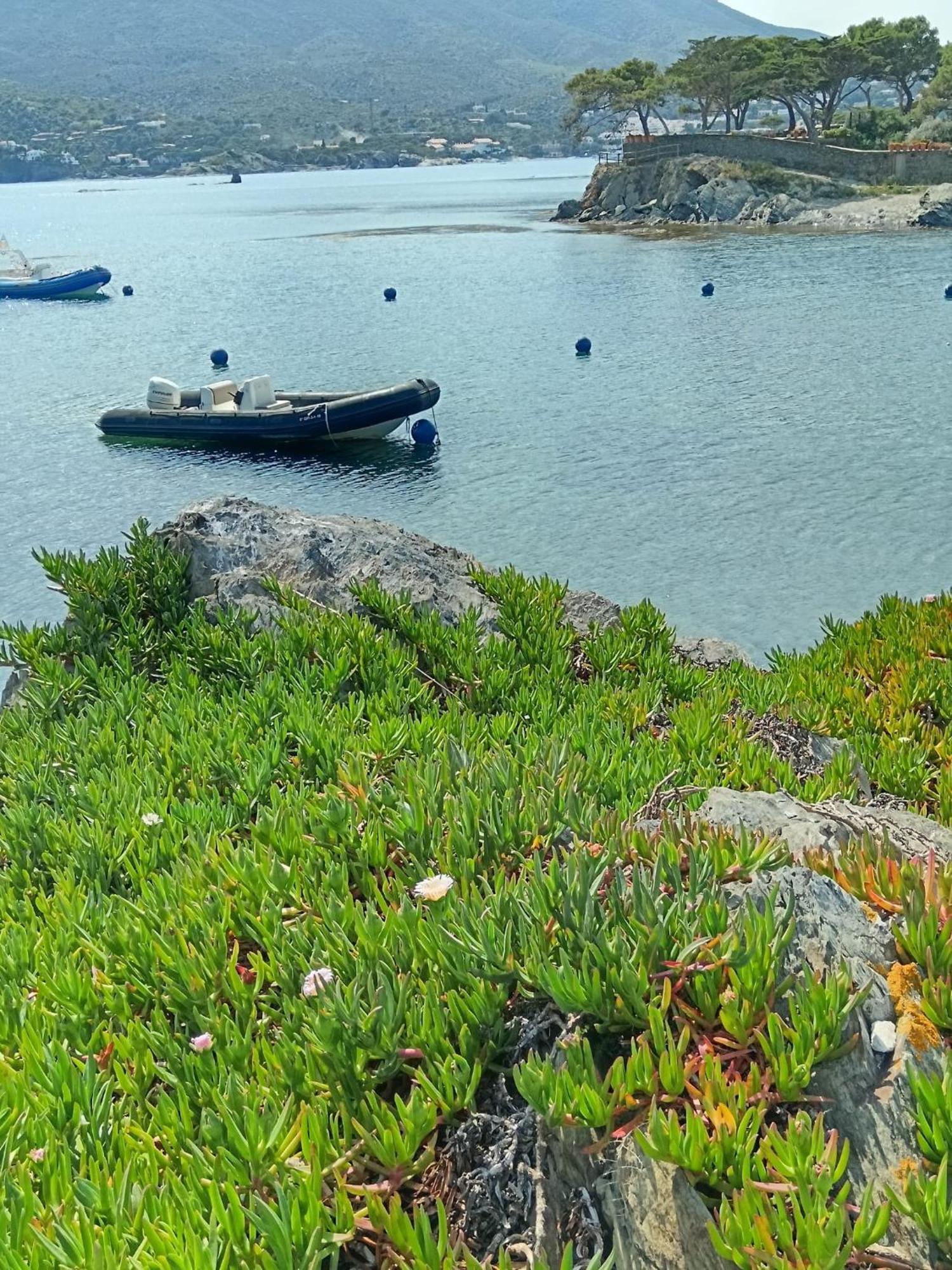 Isla Privada En Cadaques De Ensueno Con 11 Habitaciones Dobles Con Bano Privado Y Piscina Exteriér fotografie