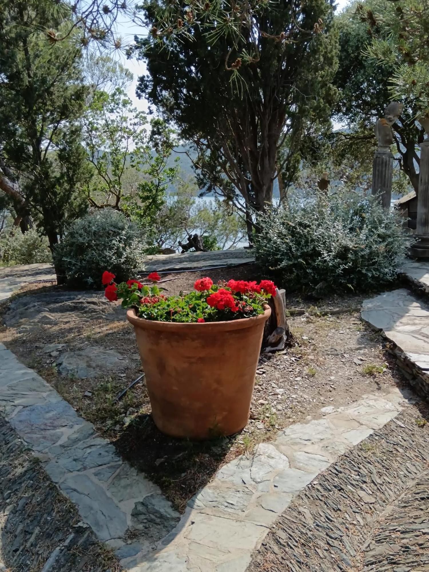 Isla Privada En Cadaques De Ensueno Con 11 Habitaciones Dobles Con Bano Privado Y Piscina Exteriér fotografie