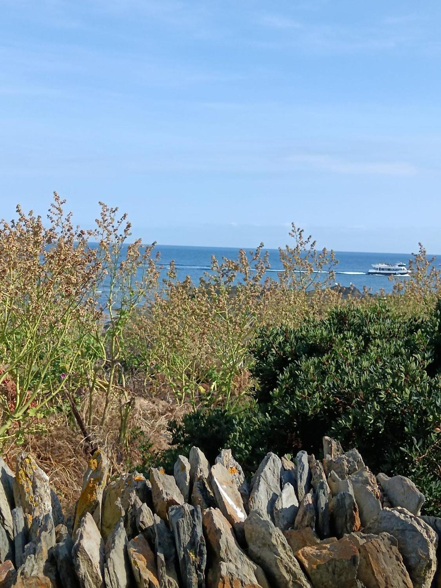 Isla Privada En Cadaques De Ensueno Con 11 Habitaciones Dobles Con Bano Privado Y Piscina Exteriér fotografie