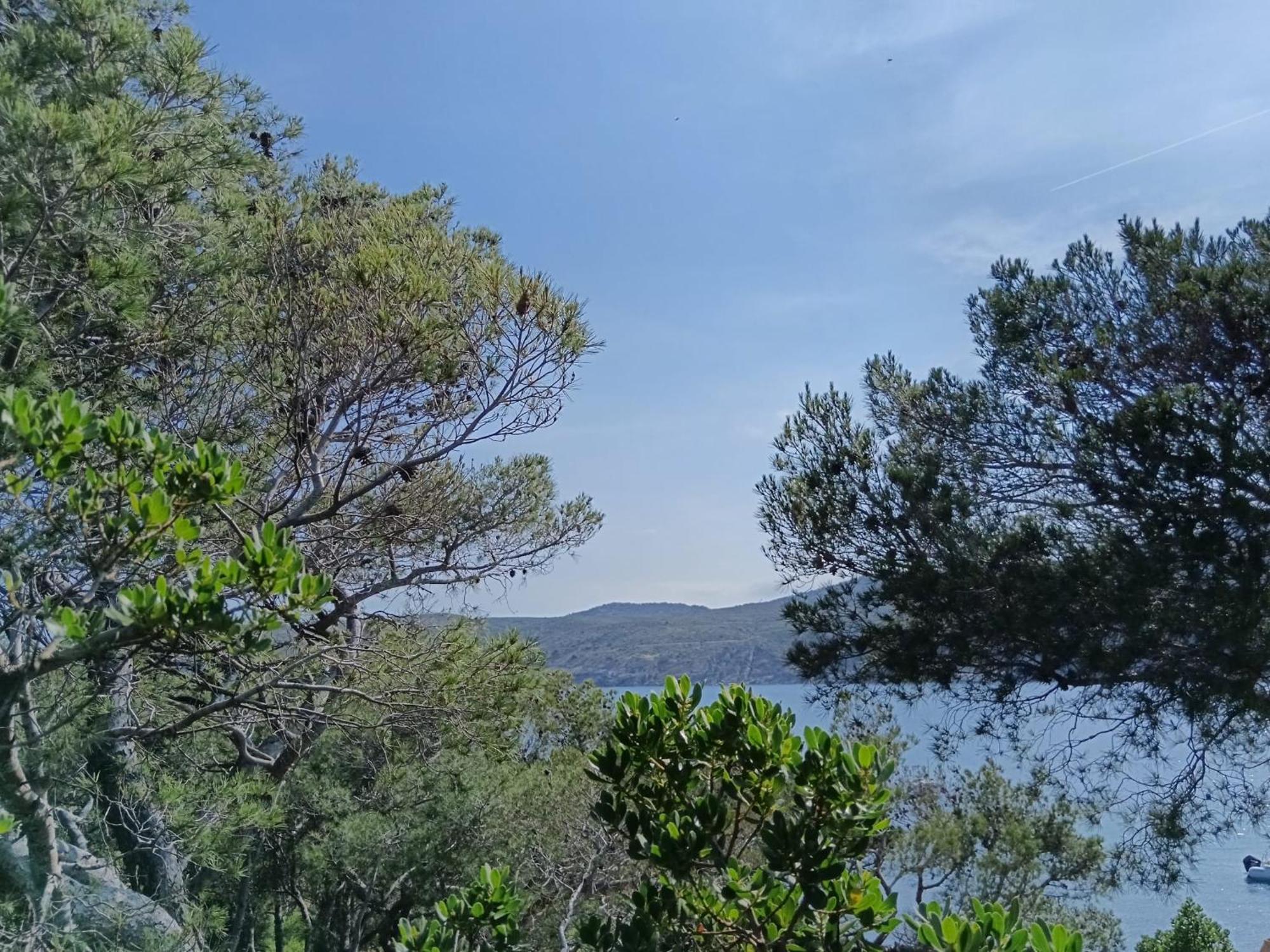 Isla Privada En Cadaques De Ensueno Con 11 Habitaciones Dobles Con Bano Privado Y Piscina Exteriér fotografie